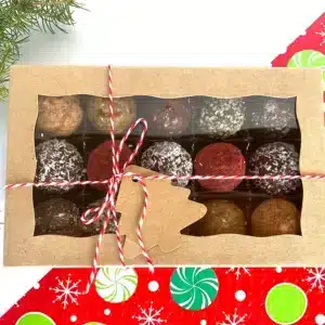 vegan christmas gift